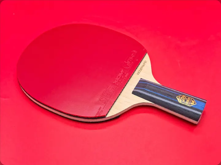 Fan Zhendong ALC Japanese version with XIOM Vega China on the red face and XIOM Vega Europe DF on the black