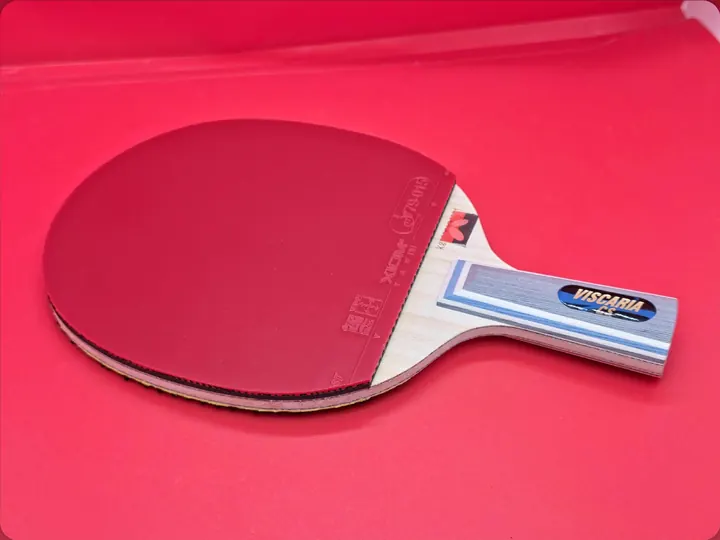 Viscaria CS penhold blade with XIOM Tau II on the red face and Dawei 388D-2 long pips on the black