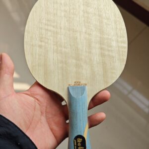 DHS 968 (Letter Version) | FL | 90g