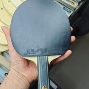 Fan ZD ALC | JP | Neo.H3.Prov.Blue & Platinum DNA