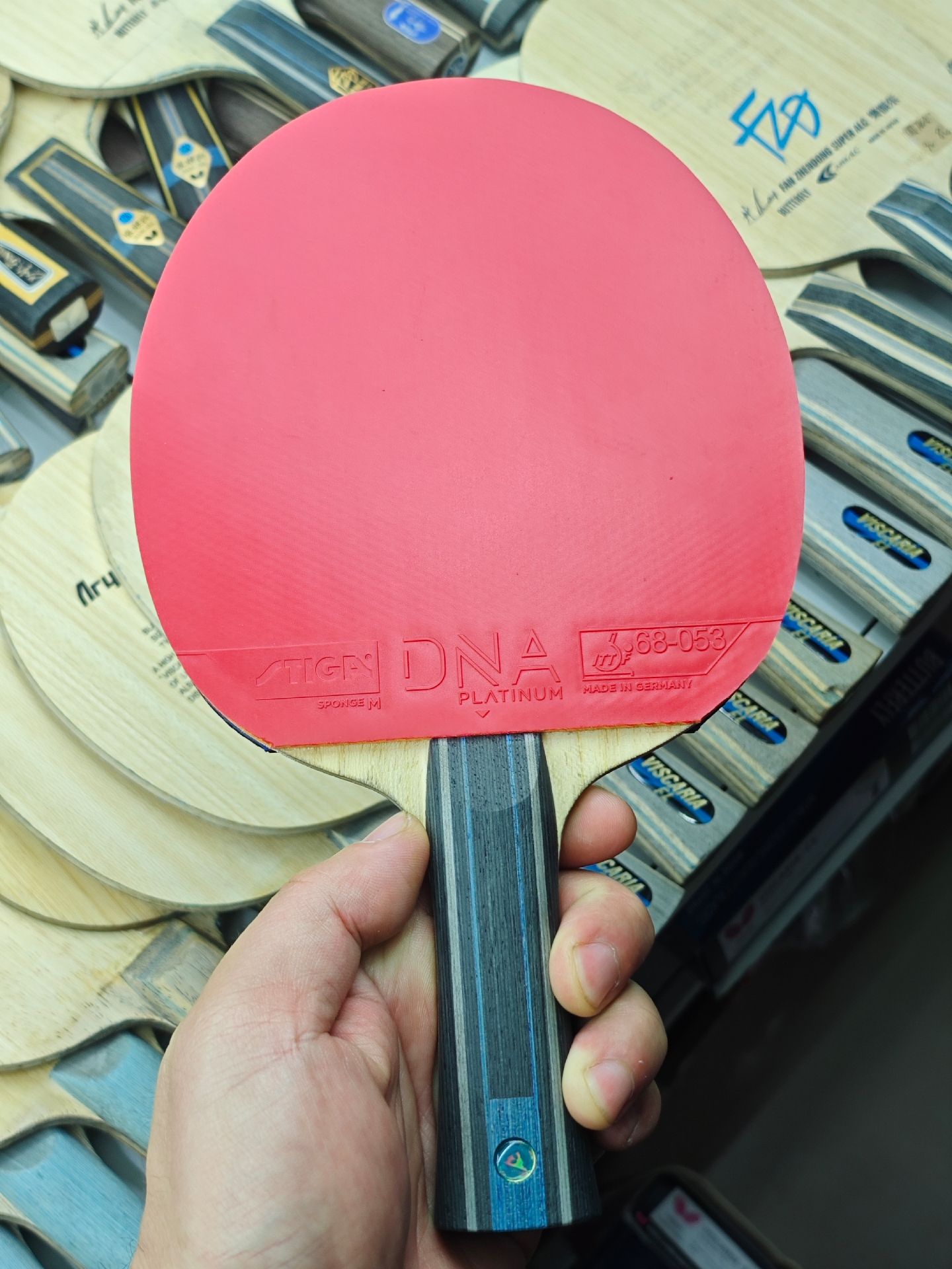 Fan ZD ALC | JP | Neo.H3.Prov.Blue & Platinum DNA - Image 2