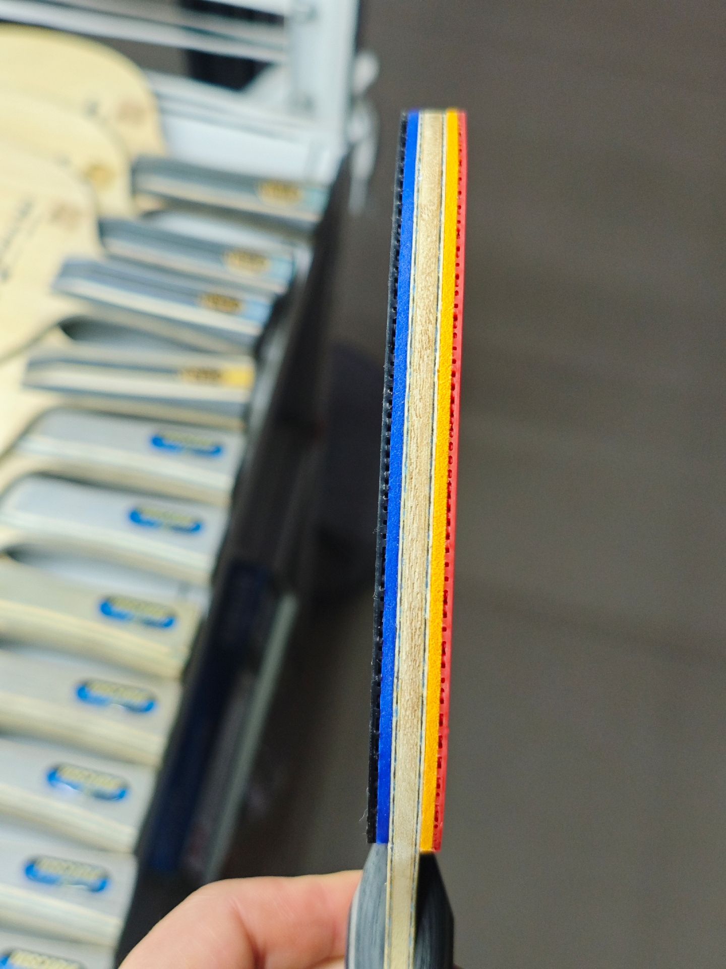 Fan ZD ALC | JP | Neo.H3.Prov.Blue & Platinum DNA - Image 3