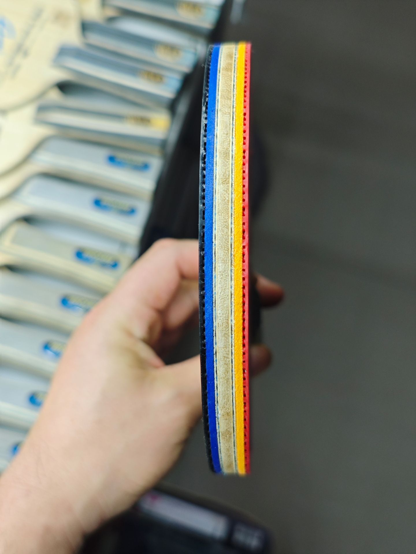 Fan ZD ALC | JP | Neo.H3.Prov.Blue & Platinum DNA - Image 4