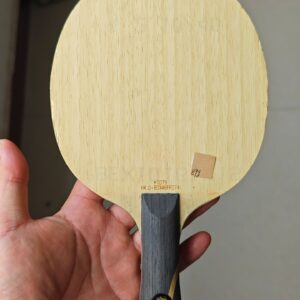 Hurricane King (Wang Chuqin) | 89g